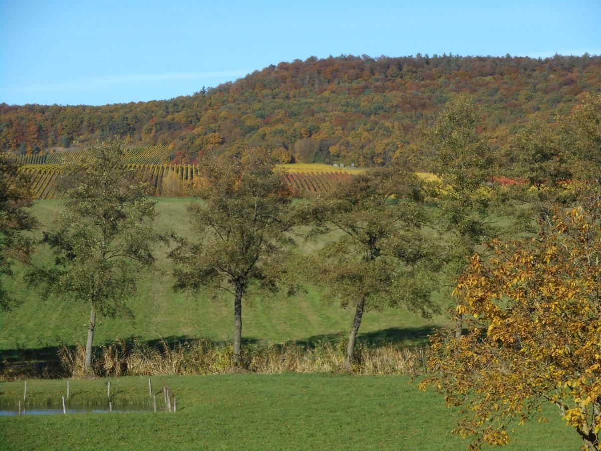 Pension Zur Traube 3 Sterne Oberschwarzach Bagian luar foto