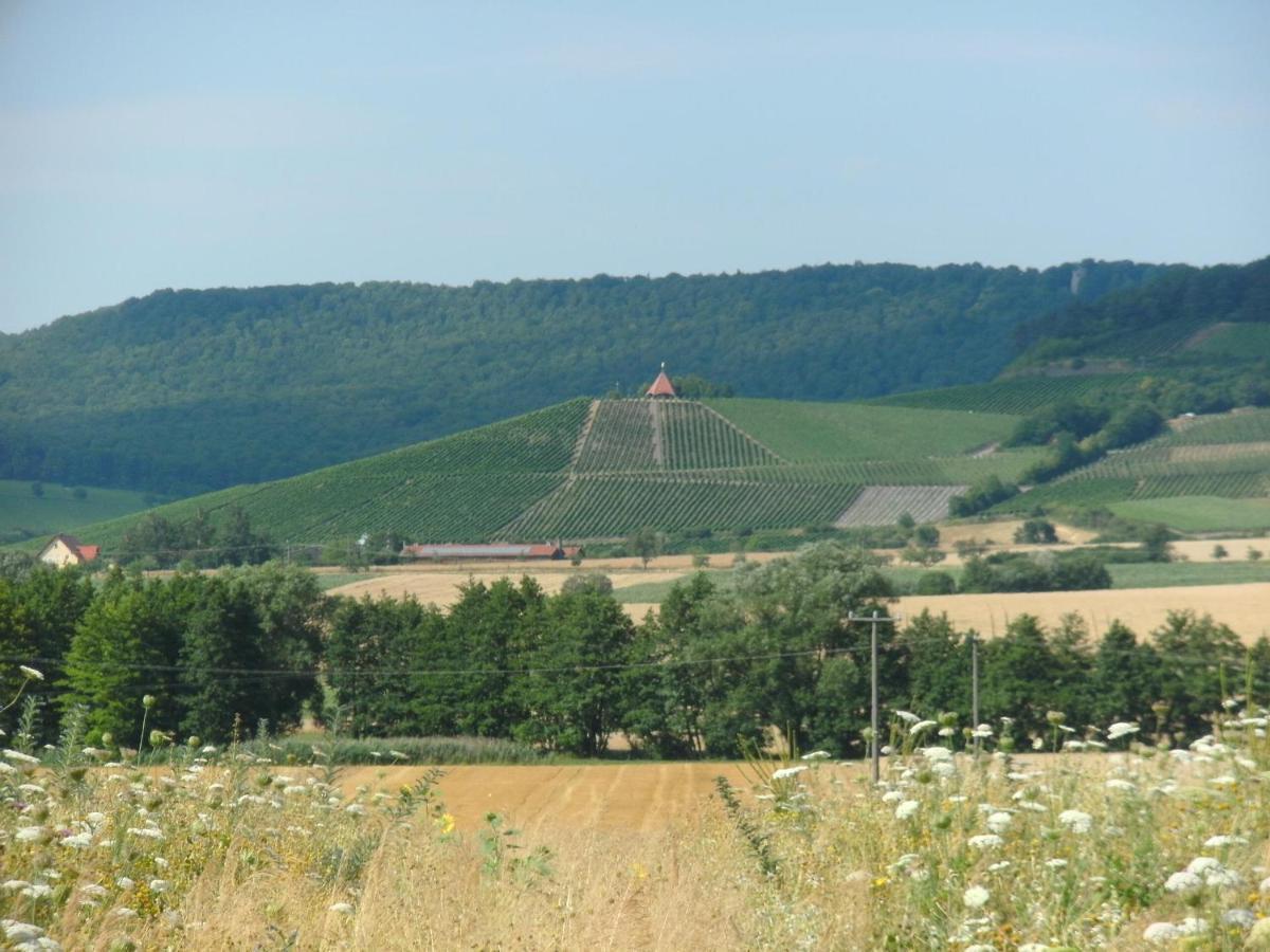 Pension Zur Traube 3 Sterne Oberschwarzach Bagian luar foto