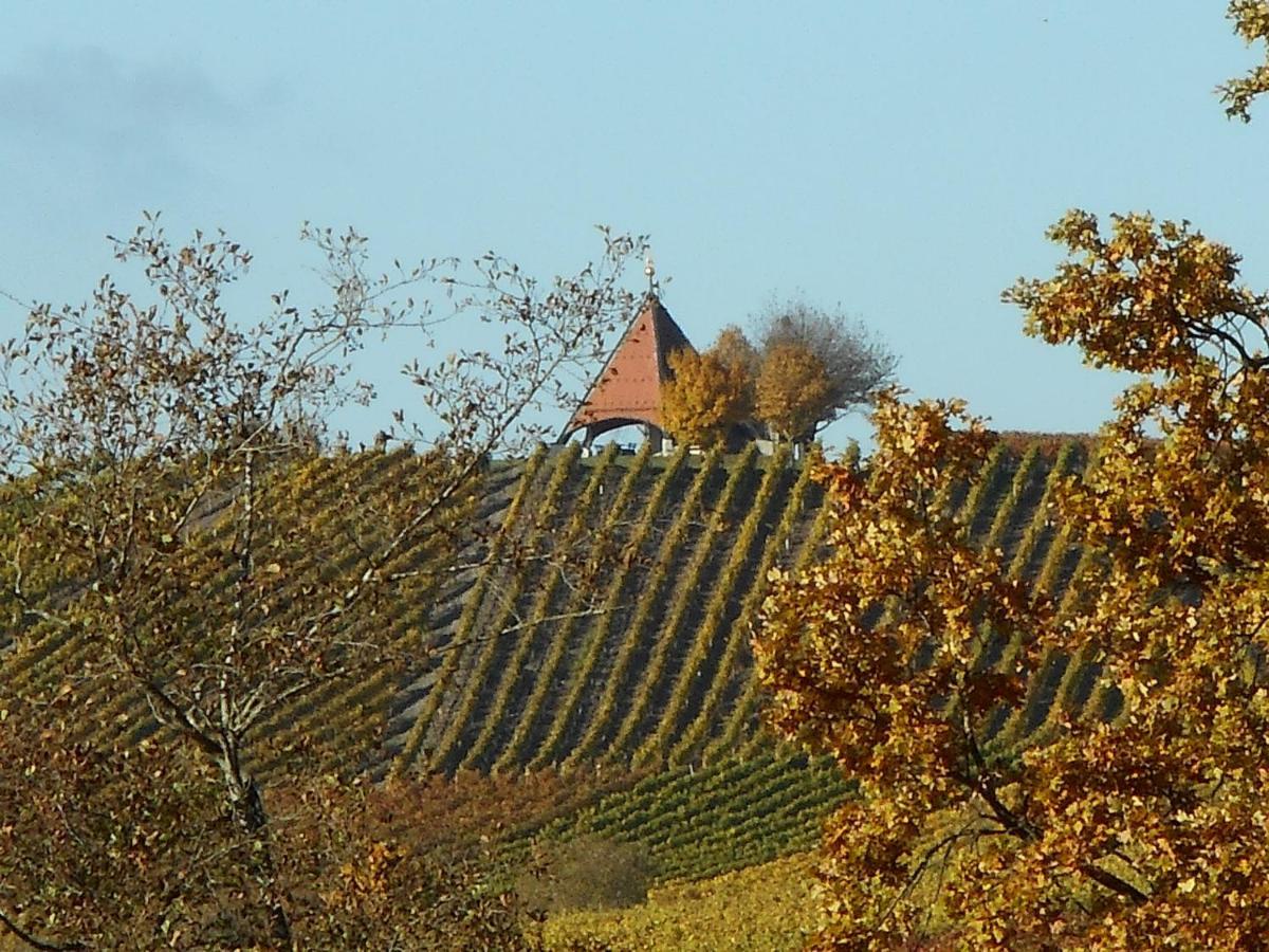 Pension Zur Traube 3 Sterne Oberschwarzach Bagian luar foto